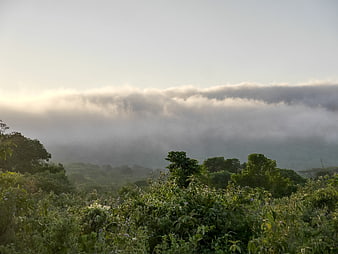 Misty Mountain Forest Landscape with Clouds