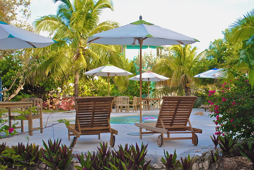 Tropical Poolside Lounge Chairs with Palm Trees