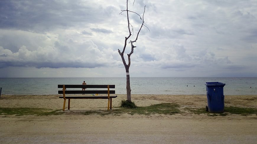 Lonely Beach Bench Under Cloudy Sky with Dead Tree