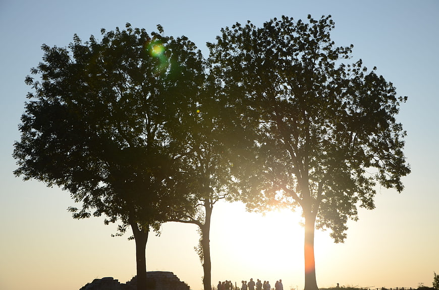 Silhouetted Trees Against Golden Sunset Sky with People