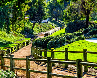 Winding dirt path with wooden fence in lush green park