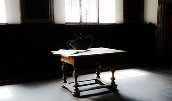 Sunlit Wooden Table with Open Book and Plant in Historic Room
