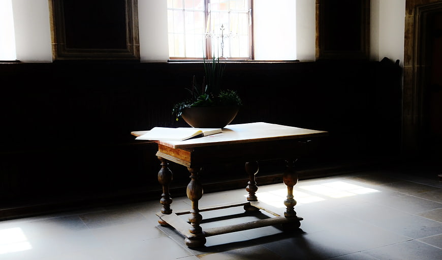 Sunlit Wooden Table with Open Book and Plant in Historic Room