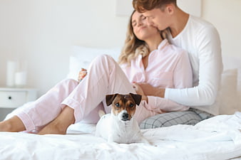 Happy couple in pajamas cuddling in bed with dog