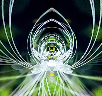Abstract Kaleidoscope Flower Pattern with White and Green Symmetry