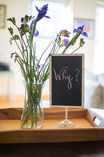 Purple flowers in vase with chalkboard sign saying Why