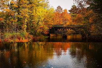 Covered Bridge in Autumn Forest with River Reflection