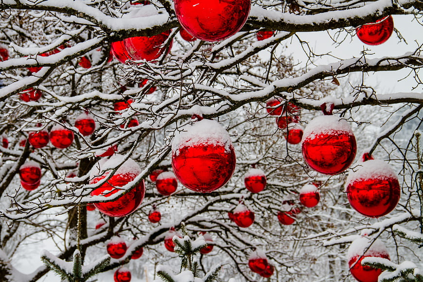Red Christmas Ornaments Hanging on Snowy Winter Tree Branches